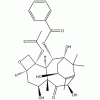 10-脫乙?；涂ǘ?III CAS 32981-86-5